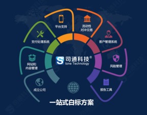 MT4平臺提供商、購買成本及網(wǎng)站建設(shè)維護全解析